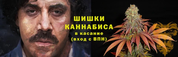 трава Аркадак