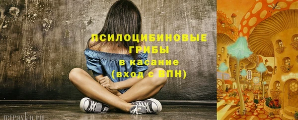 альфа пвп Армянск