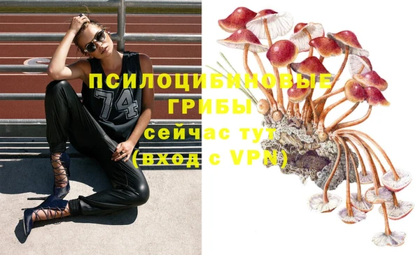 альфа пвп Армянск
