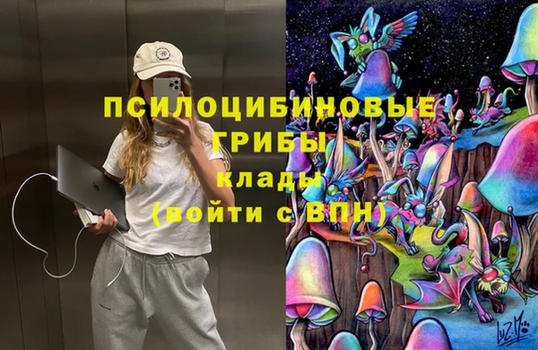 трава Аркадак