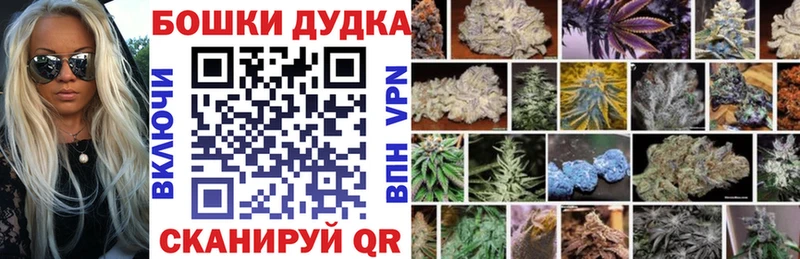 Канабис Ganja  Дыгулыбгей 